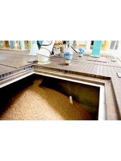 1773048388949084.jpg fffea259c5a40827c1fd1f720616d01a_Minicap_FTC262_AP_Primaries.jpg